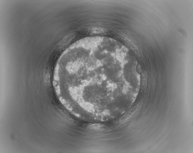 X0000115510269200912181451