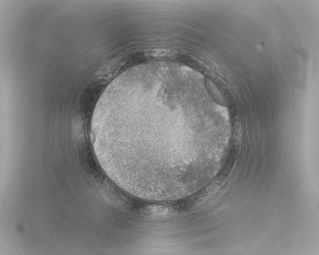 X0000115510272200912181452