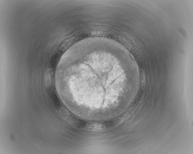 X0000115510276200912181452