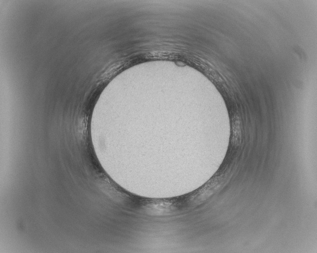 X0000115510278200912181452