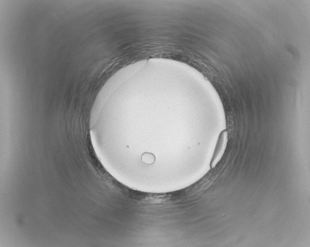 X0000115510280200912181452