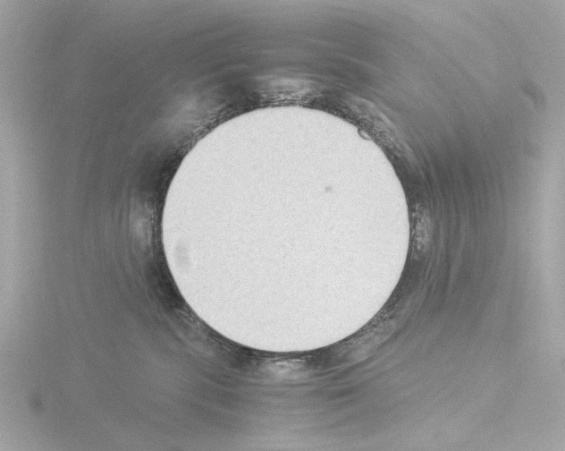 X0000115510283200912181452