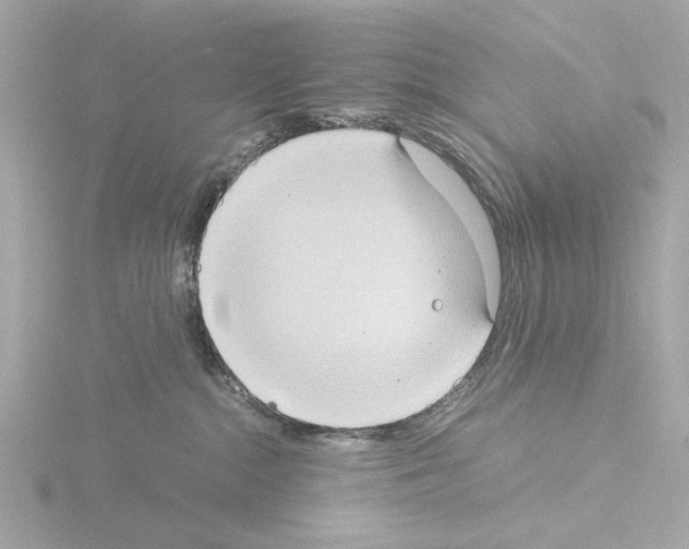 X0000115510284200912181452