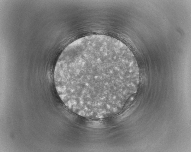 X0000115510285200912181452