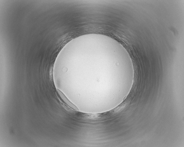 X0000115510288200912181452