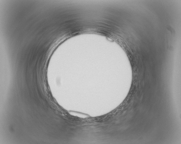 X0000115510289200912181451