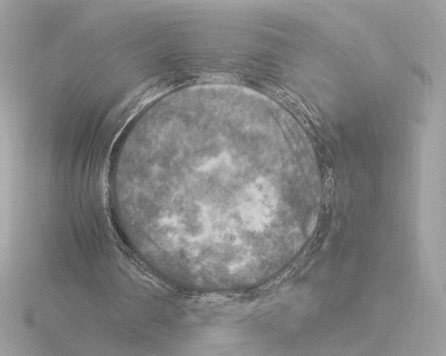 X0000115510290200912181451