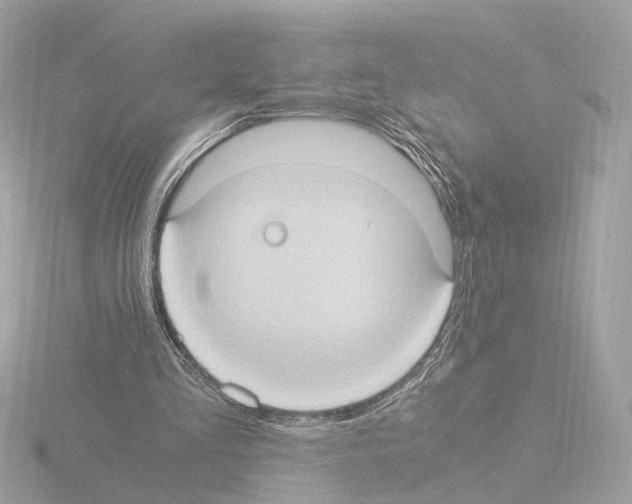 X0000115510293200912181451