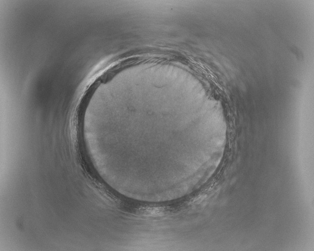 X0000115510295200912181451