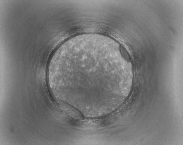 X0000115510297200912181451