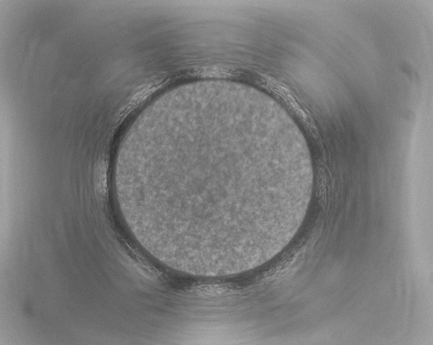 X0000115510299200912181451