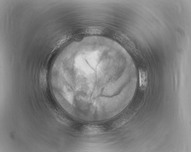 X0000115510300200912181451