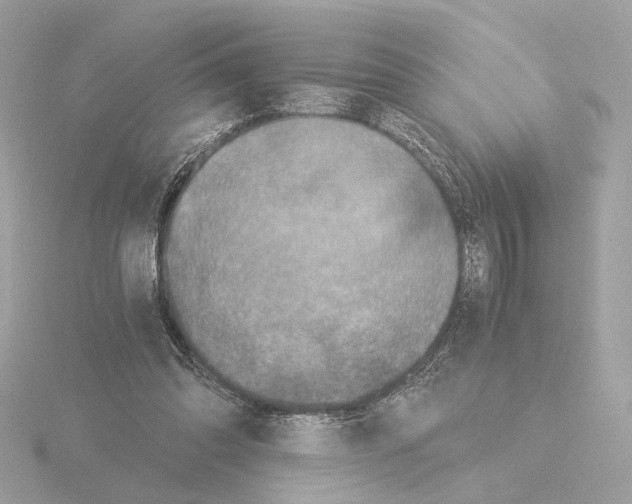 X0000115510302200912181451