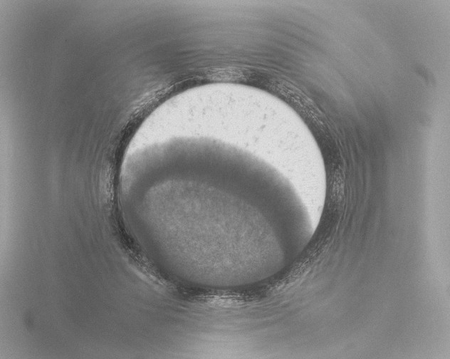 X0000115510303200912181451