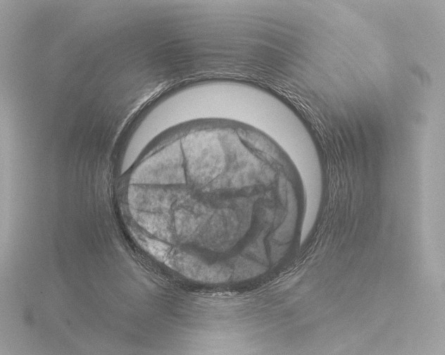 X0000115510304200912181451