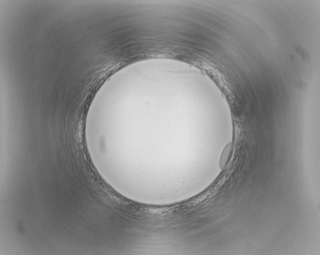 X0000115510305200912181451