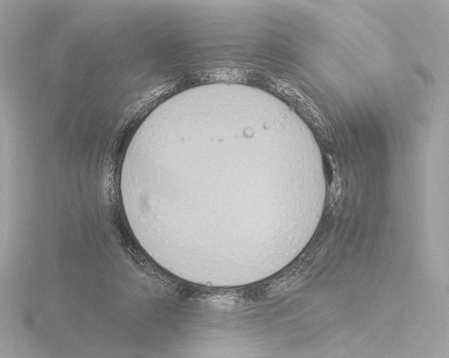 X0000115510306200912181451