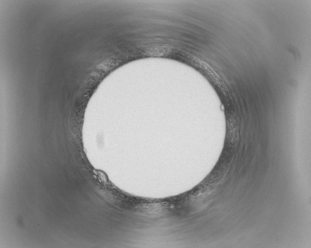 X0000115510307200912181451