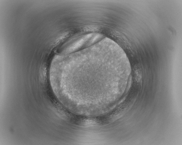 X0000115510308200912181451