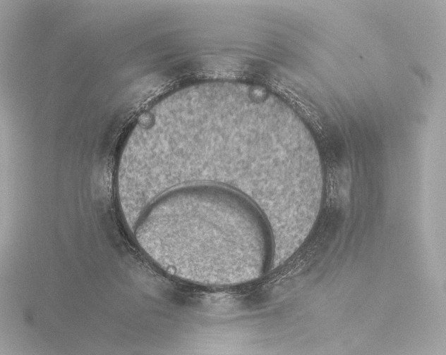 X0000115510309200912181451