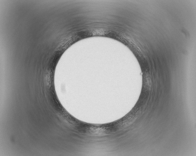 X0000115510311200912181451