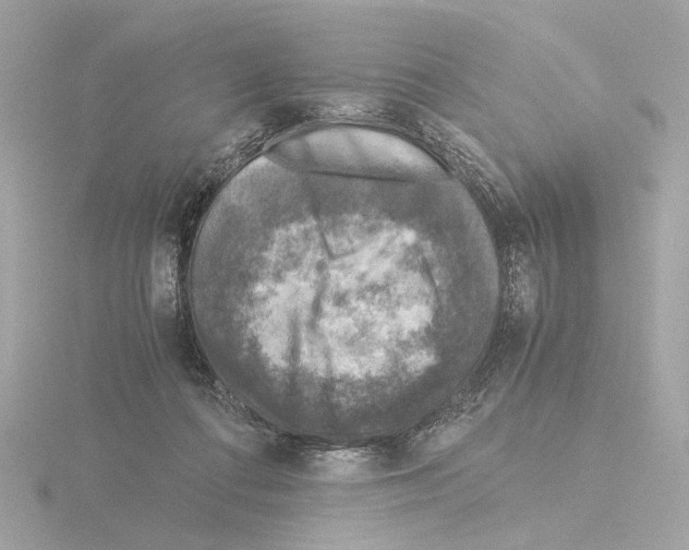 X0000115510312200912181451