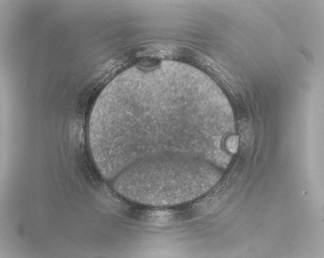 X0000115510313200912181451