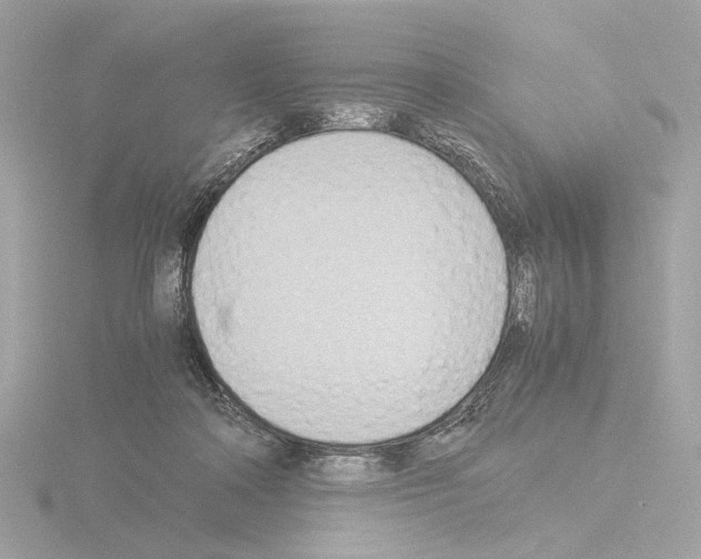 X0000115510314200912181451