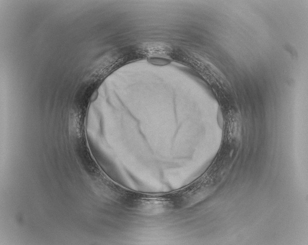 X0000115510316200912181451