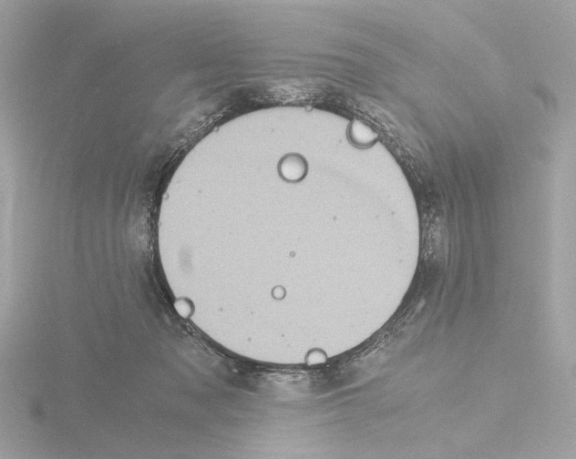 X0000115510317200912181451