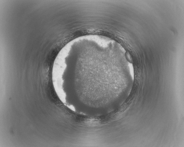 X0000115510319200912181451