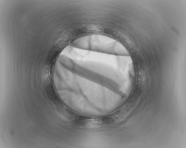 X0000115510320200912181451