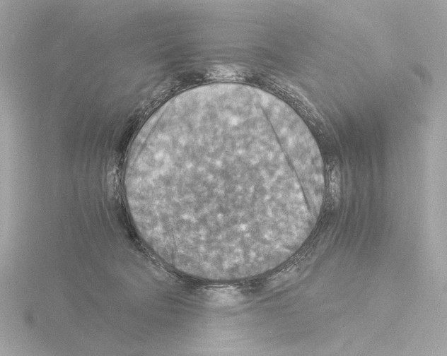 X0000115510322200912181451