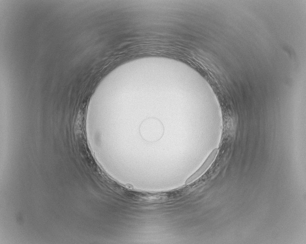 X0000115510323200912181451