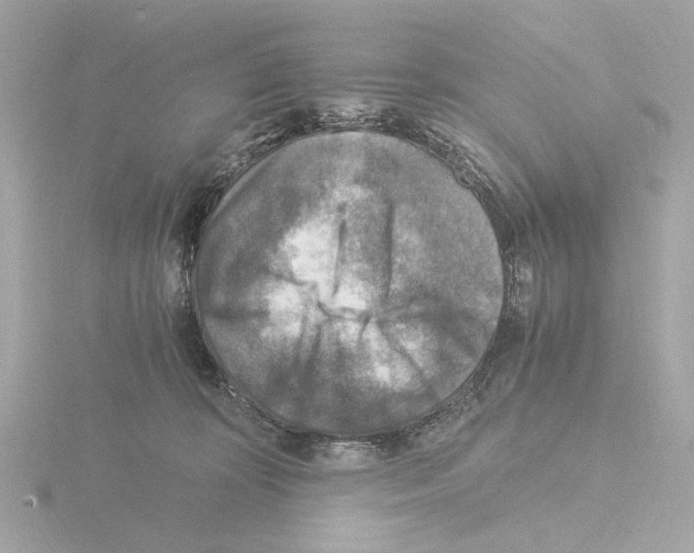 X0000115510324200912181451