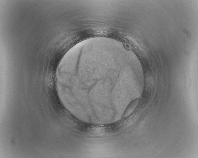 X0000115510325200912181451