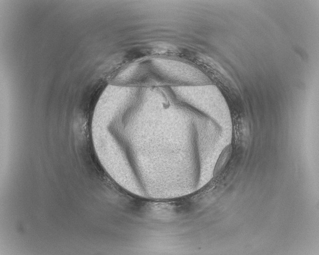 X0000115510327200912181451