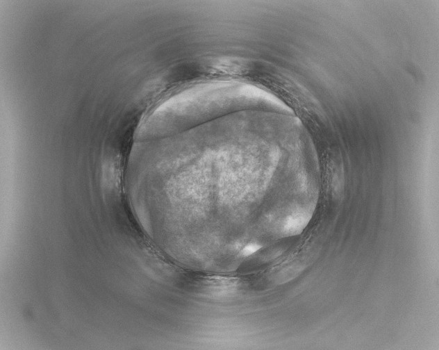 X0000115510328200912181451