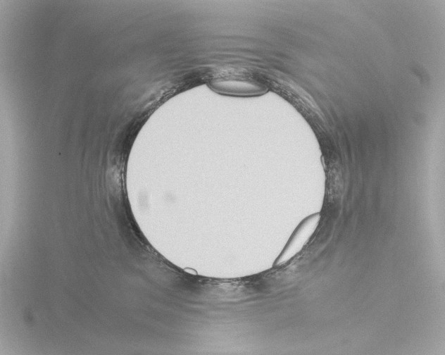 X0000115510329200912181451