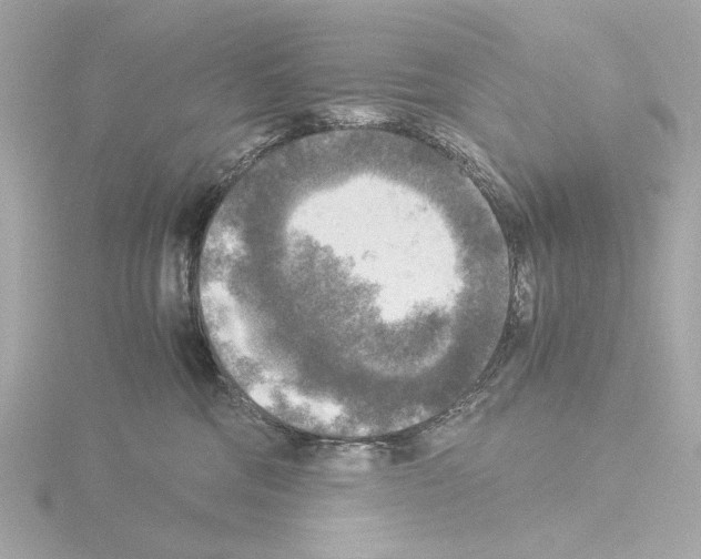 X0000115510330200912181451