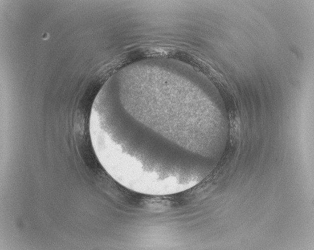 X0000115510331200912181451