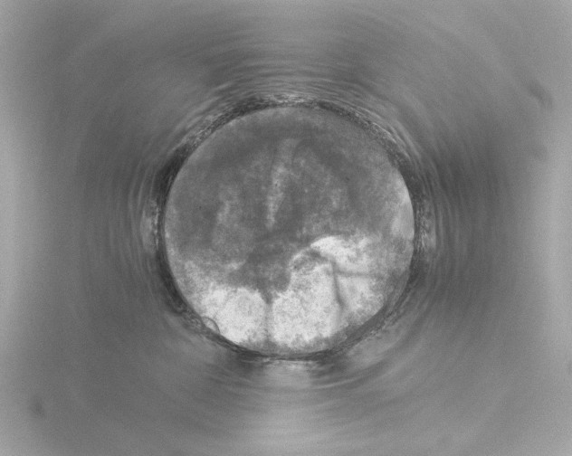 X0000115510332200912181451