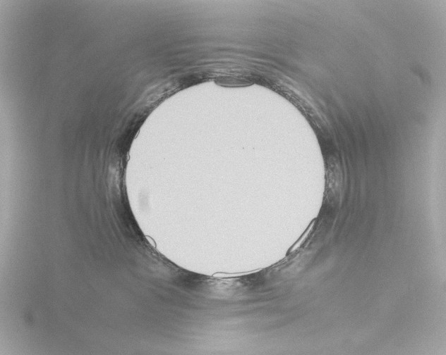 X0000115510333200912181451