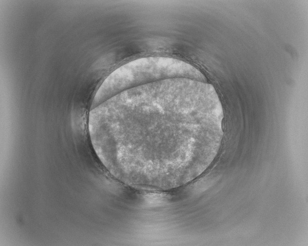 X0000115510336200912181450