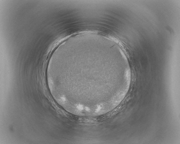 X0000115510337200912181450