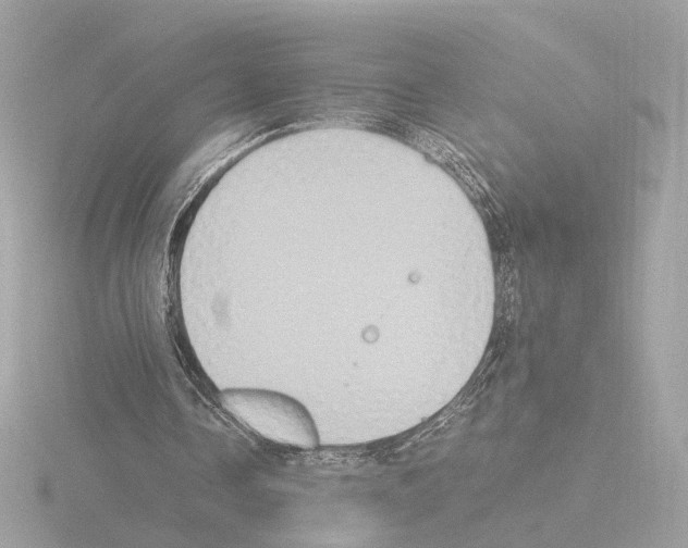 X0000115510338200912181450