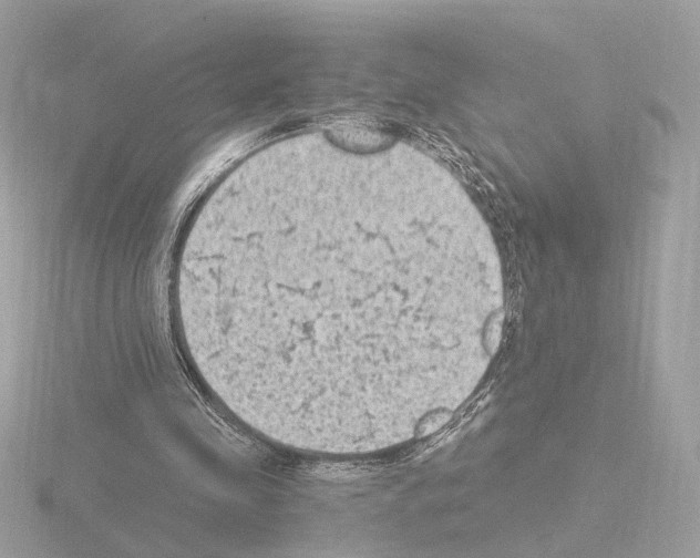 X0000115510341200912181450