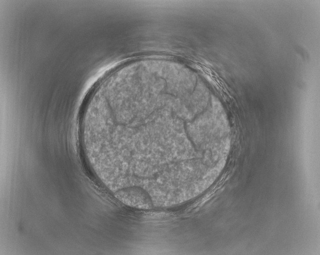 X0000115510342200912181450