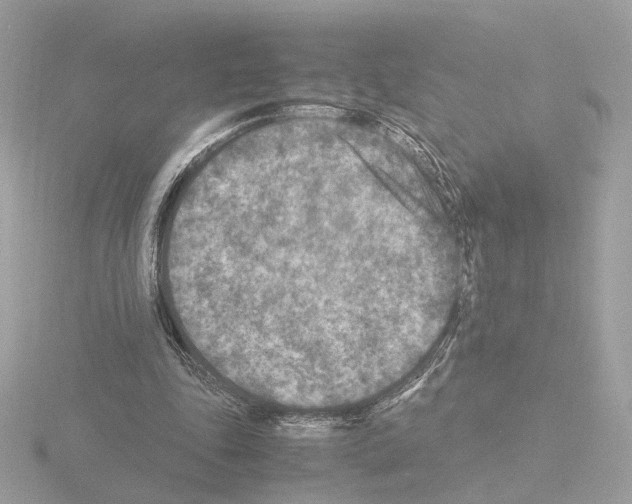 X0000115510343200912181450