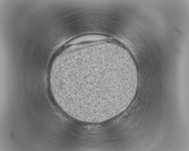 X0000115510345200912181450